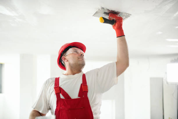 Best Mold-Related Health Consultation  in De Kal, TX